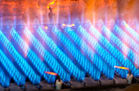 Gwernesney gas fired boilers